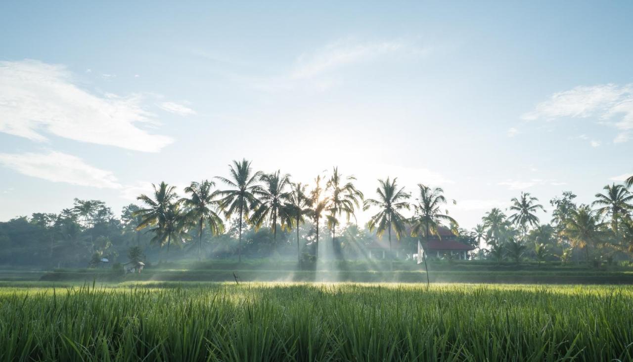 Benisari Batik Garden Cottage Ubud Esterno foto